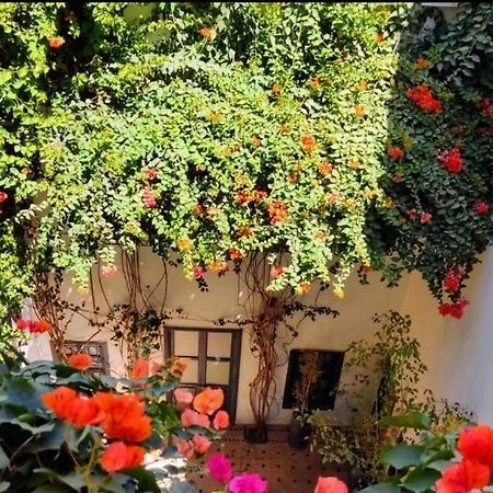 Bougainvillea Riad Μαρακές Εξωτερικό φωτογραφία