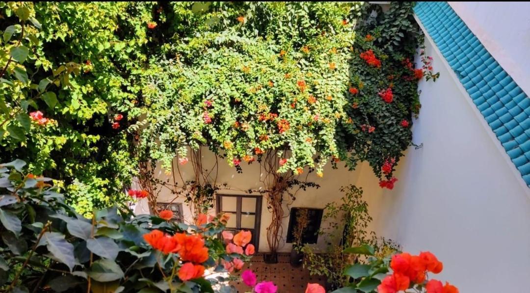 Bougainvillea Riad Μαρακές Εξωτερικό φωτογραφία