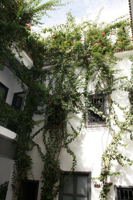 Bougainvillea Riad Μαρακές Εξωτερικό φωτογραφία